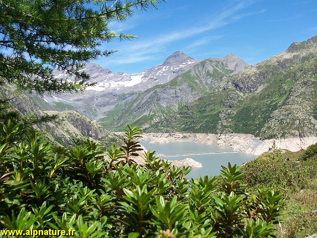 9331_lac d'emosson.JPG